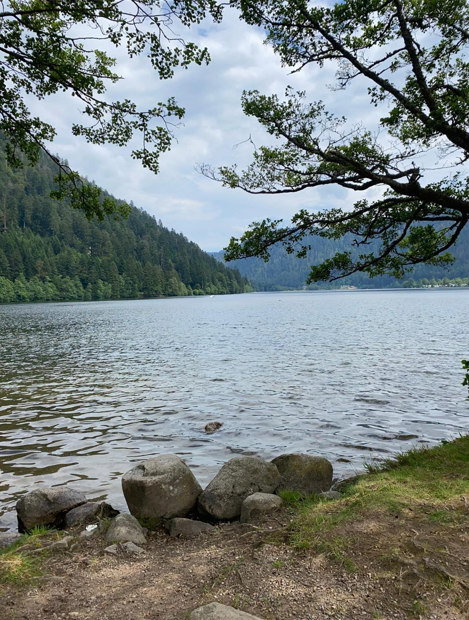 Charmant Chalet, Spacieux, Proche Du Lac, Vue Sur La Montagne Gérardmer Εξωτερικό φωτογραφία